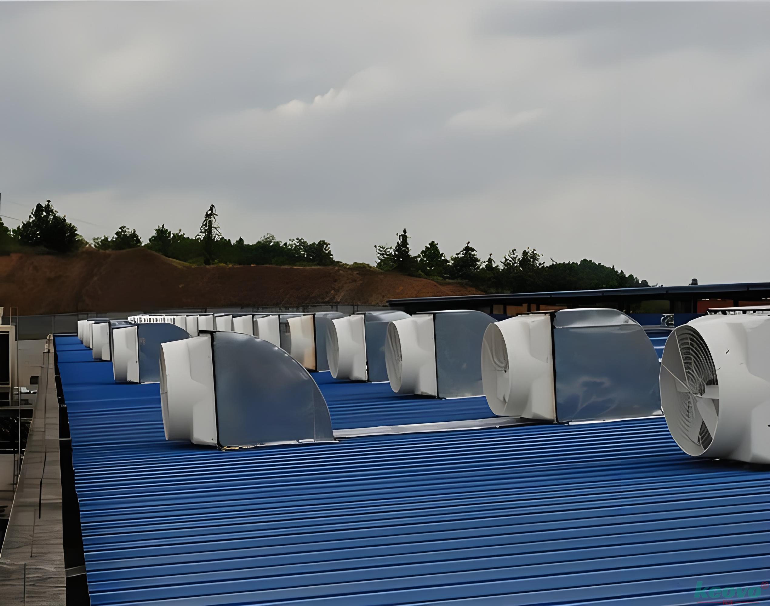 1741062300236494.jpg a297f6eb-16b1-4494-b190-55422a63874e.jpg